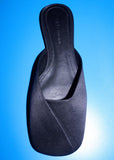 Zapato Satina