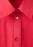 Camisa Dario
