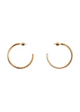 Pendientes Danae