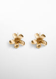 Pendientes Alma