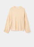 Jersey Solcito
