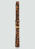 Cinturon Leo2